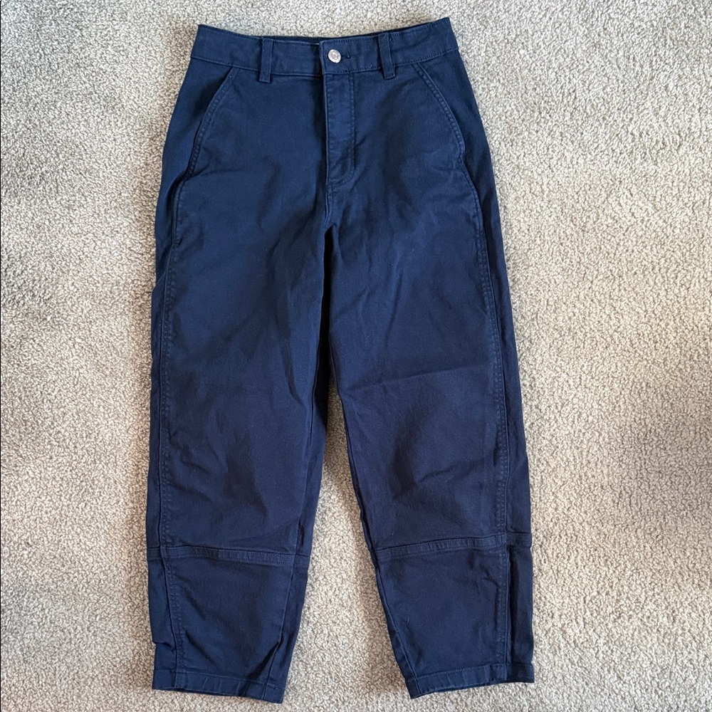 Everlane High-Waisted Barrel Pants